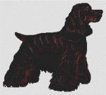 (image for) Black and Tan Cocker Spaniel